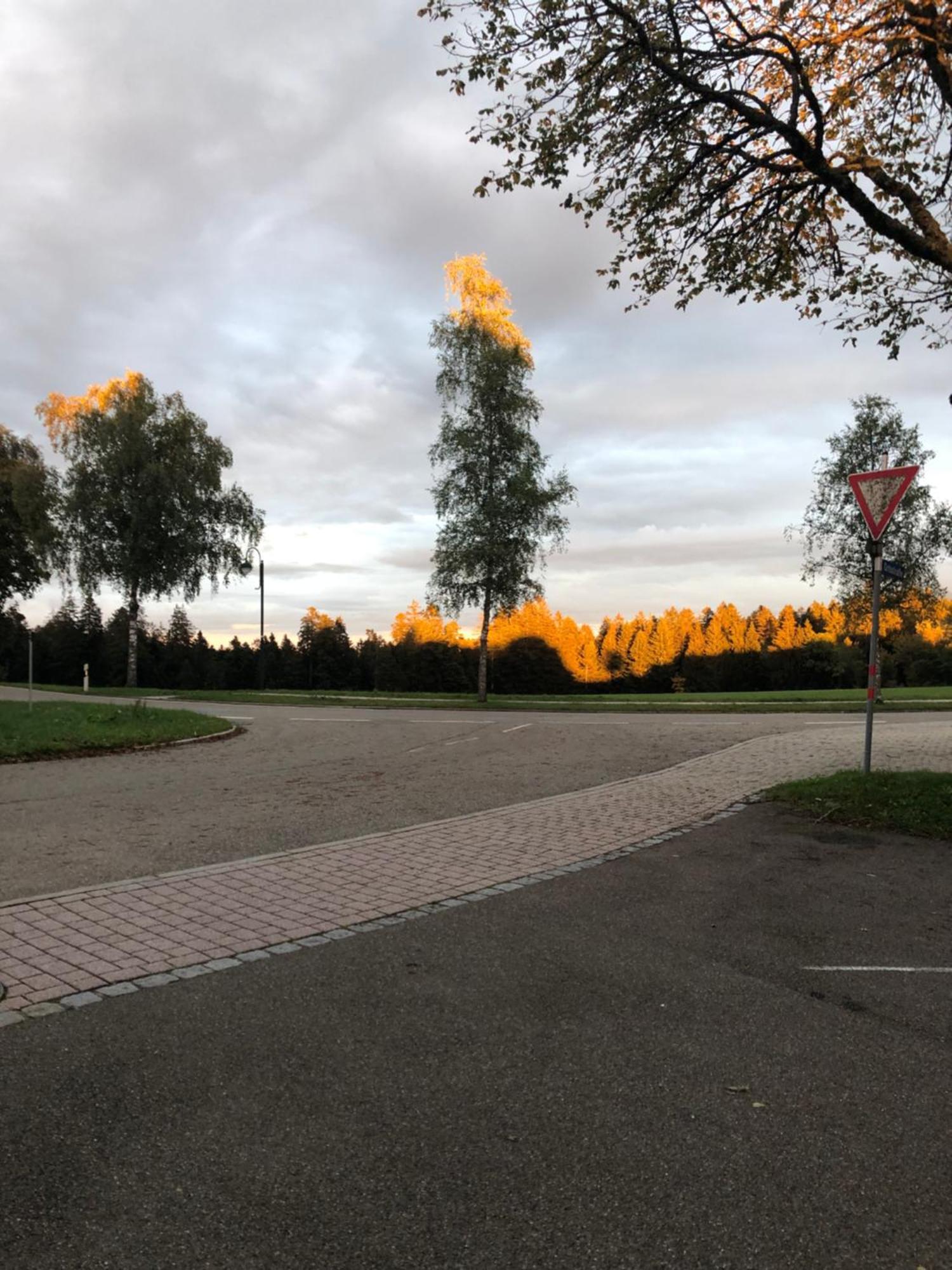 Solhof-Schoemberg Loßburg 外观 照片